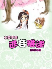 小妾不乖:逃妾難逑