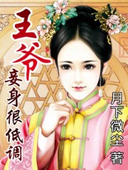 王爺,妾身很低調