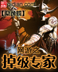 網游之掉級專家