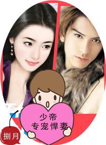 少帝專寵悍妻