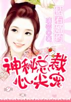 鑽石婚約:神秘總裁心尖寵