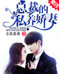 總裁的神秘戀人