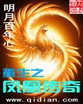 重生之鳳凰傳奇