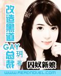 囚奴新娘:改造黑道GAY總裁