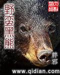 野蠻黑熊