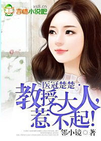 醫冠楚楚·教授大人,惹不起!