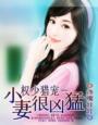 權少獵寵-小妻很兇猛
