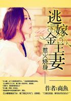 惹火燒身:逃嫁金主妻