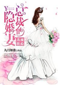 南心北往,總裁的隱婚妻