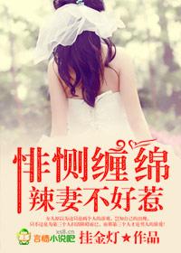 悱惻豪門,辣妻不好惹