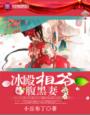 冰殿相爺腹黑妻