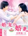 婚寵二婚妻