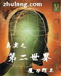 真實之第二世界