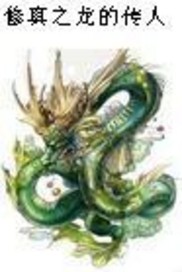 修真之龍的傳人