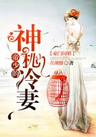 豪門閃婚:帝少的神秘冷妻