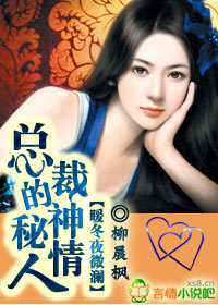 暖冬夜微瀾:總裁的神秘情人