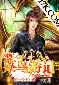 網游之菜鳥遊記