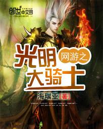 網游之光明大騎士