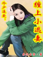 冷少逼愛:纏上小逃妻