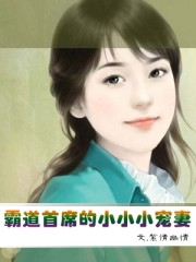 霸道首席的小小小寵妻