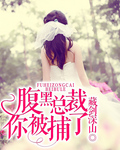 腹黑總裁,你被捕了