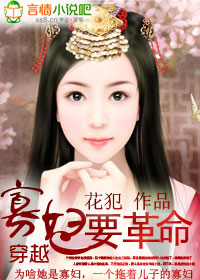 穿越:寡婦要革命